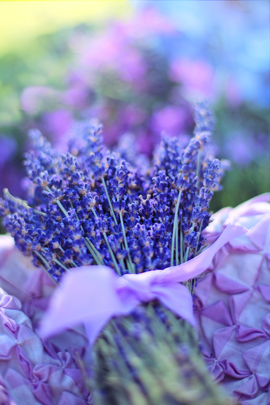 Lavender Flowers in a Basket